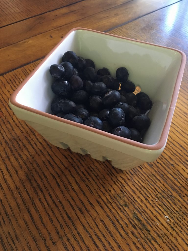 Blueberry Oatmeal Muffins that are nutritious