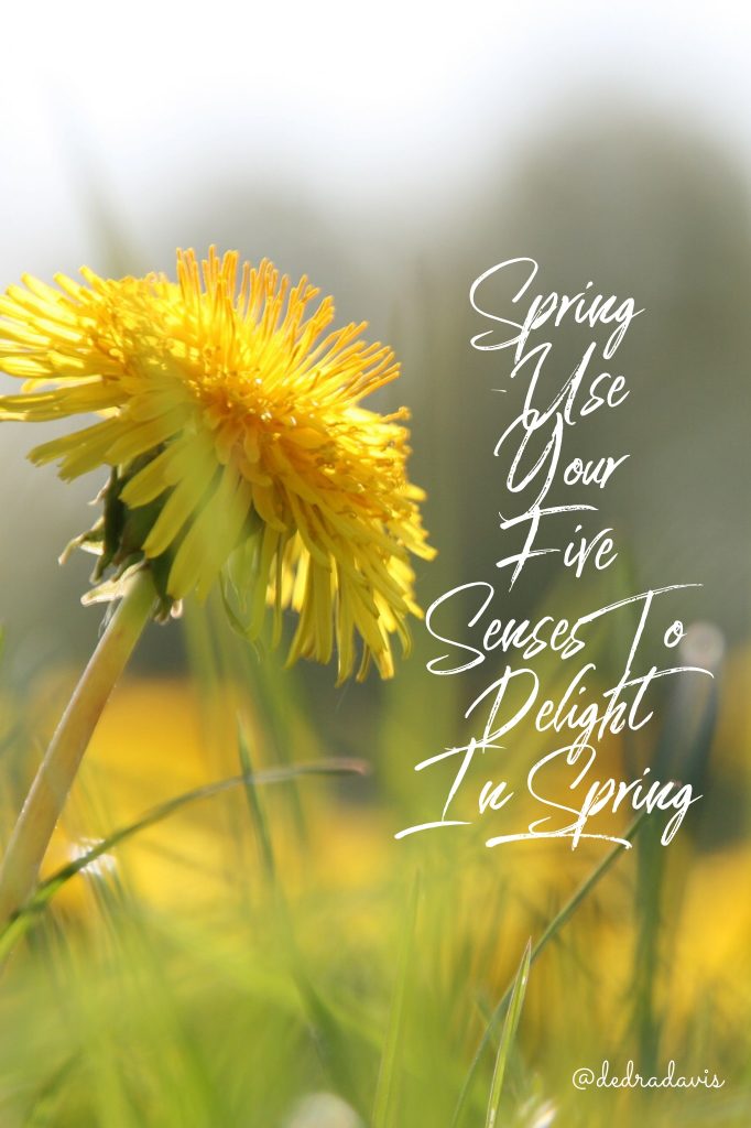 Spring-Use Your Five Senses To Delight In Spring
