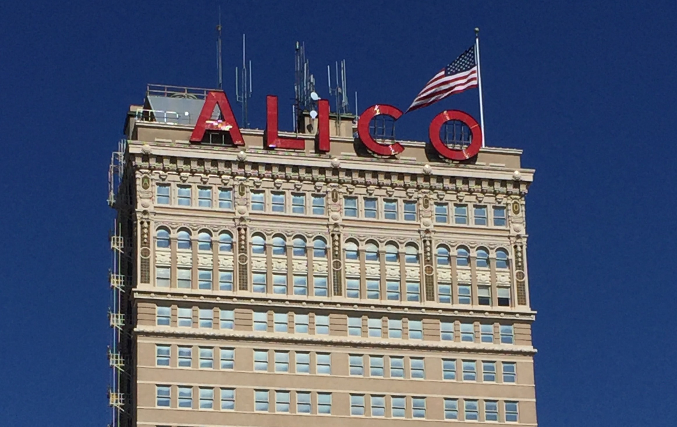 Stand tall like the Alico