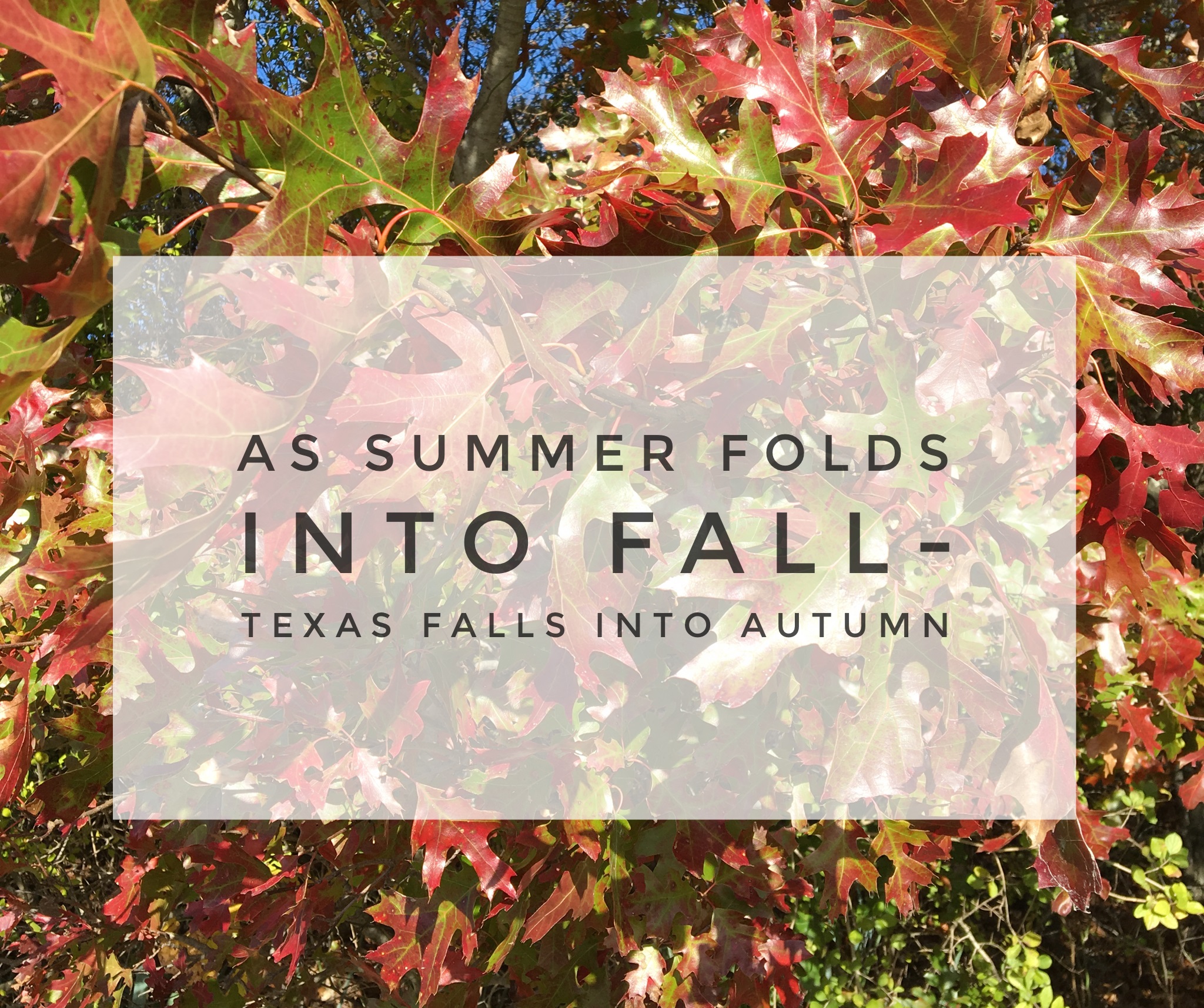 As Summer Folds Into Fall-Texas Falls into Autumn