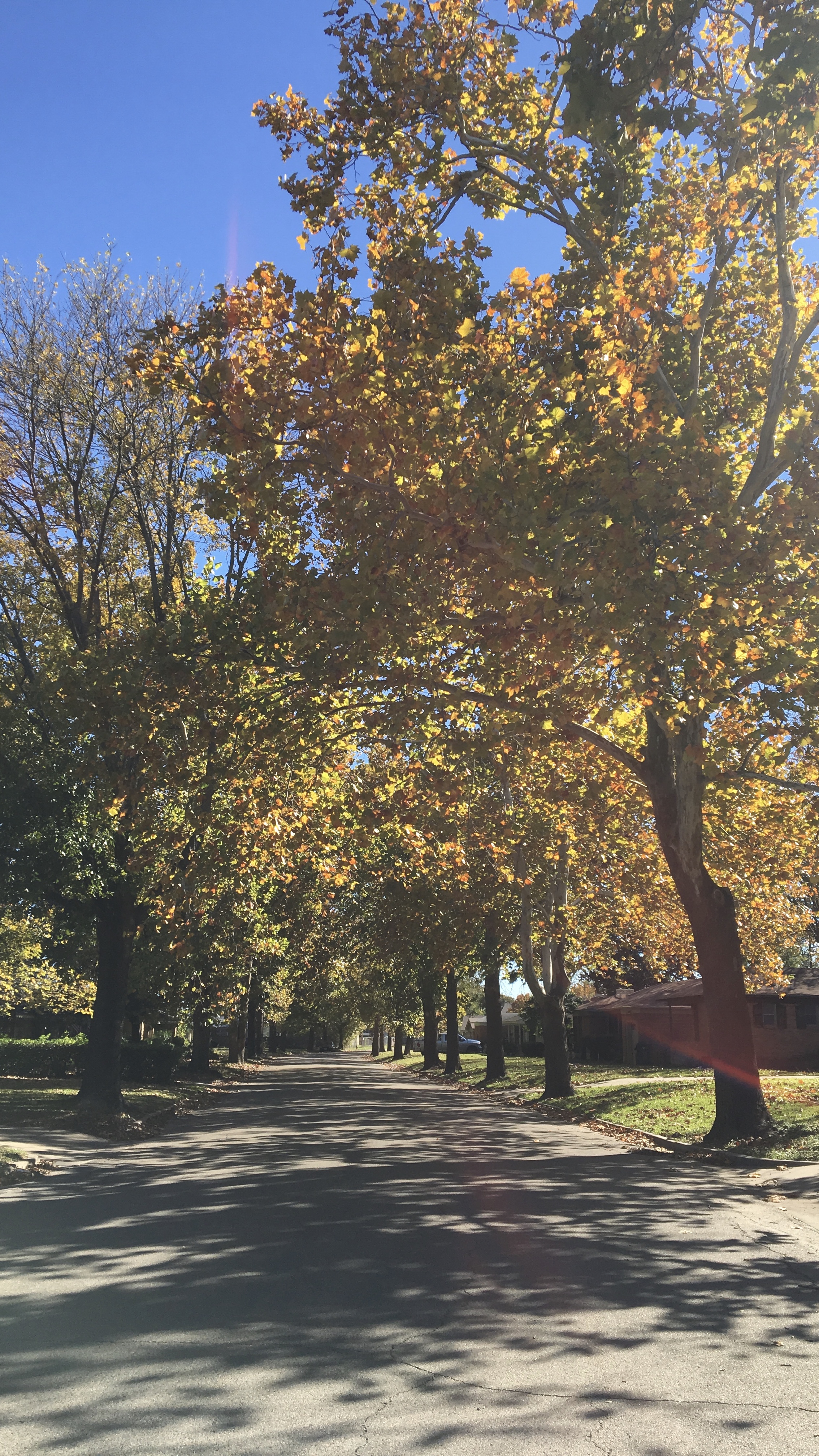 On The Road To Happiness--Be Thankful Everyday