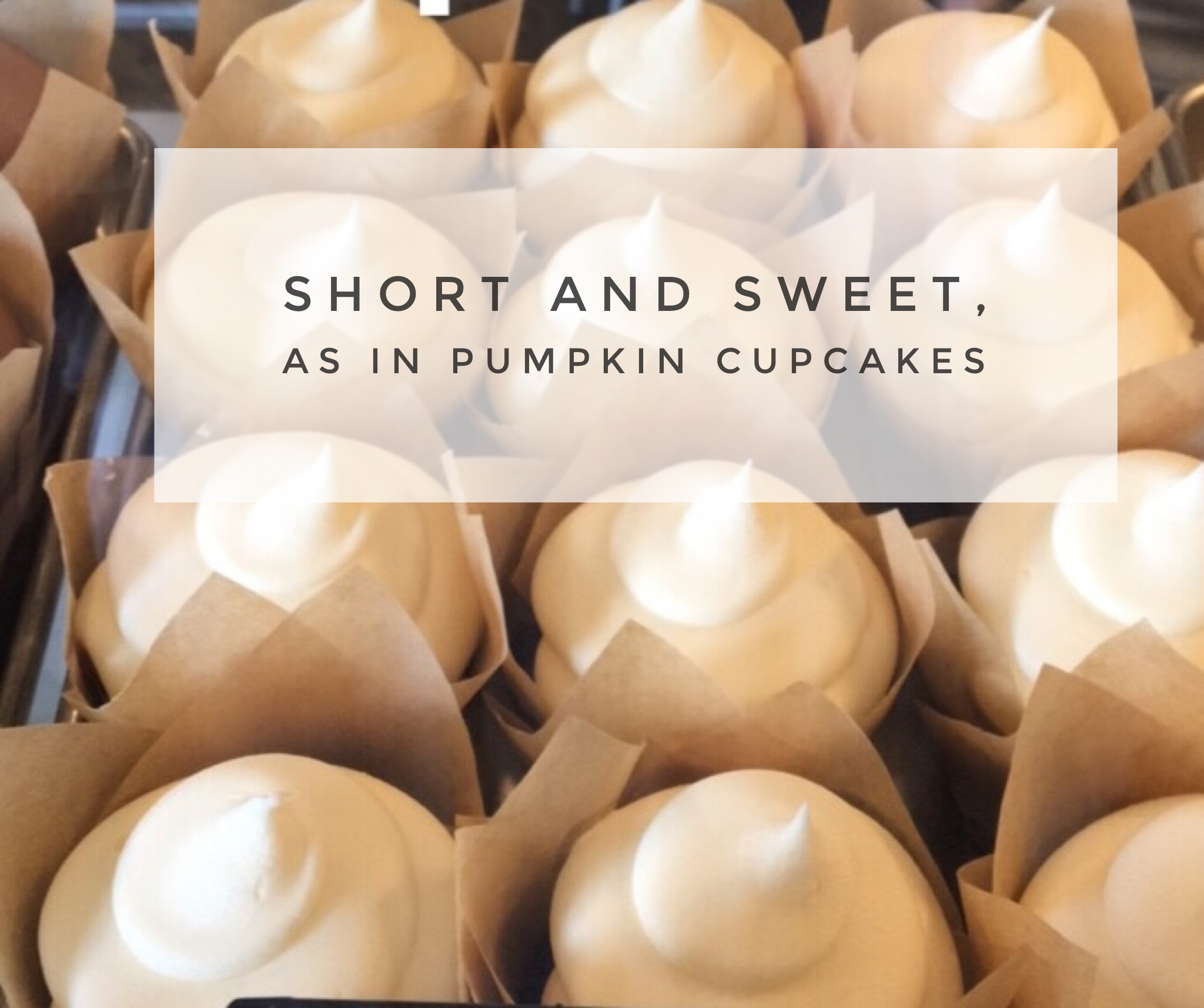 Short And Sweet, As In Pumpkin Cupcakes