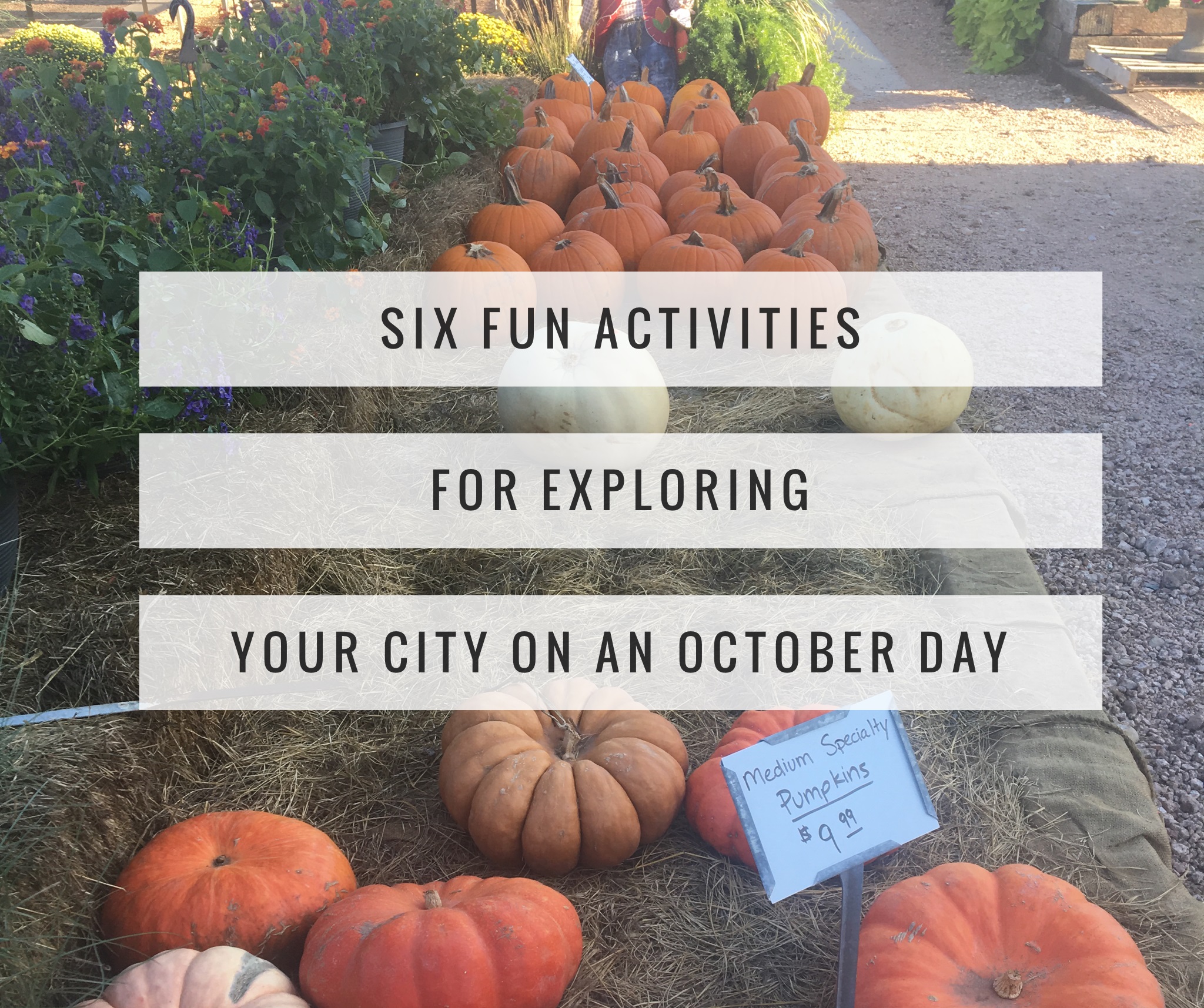 Six Fun Activities For Exploring Your City On An October Day