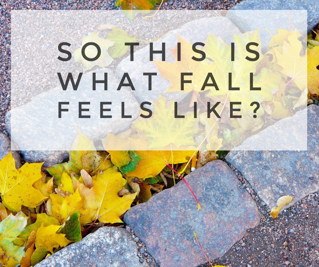 Fifteen Days of A Writing Challenge