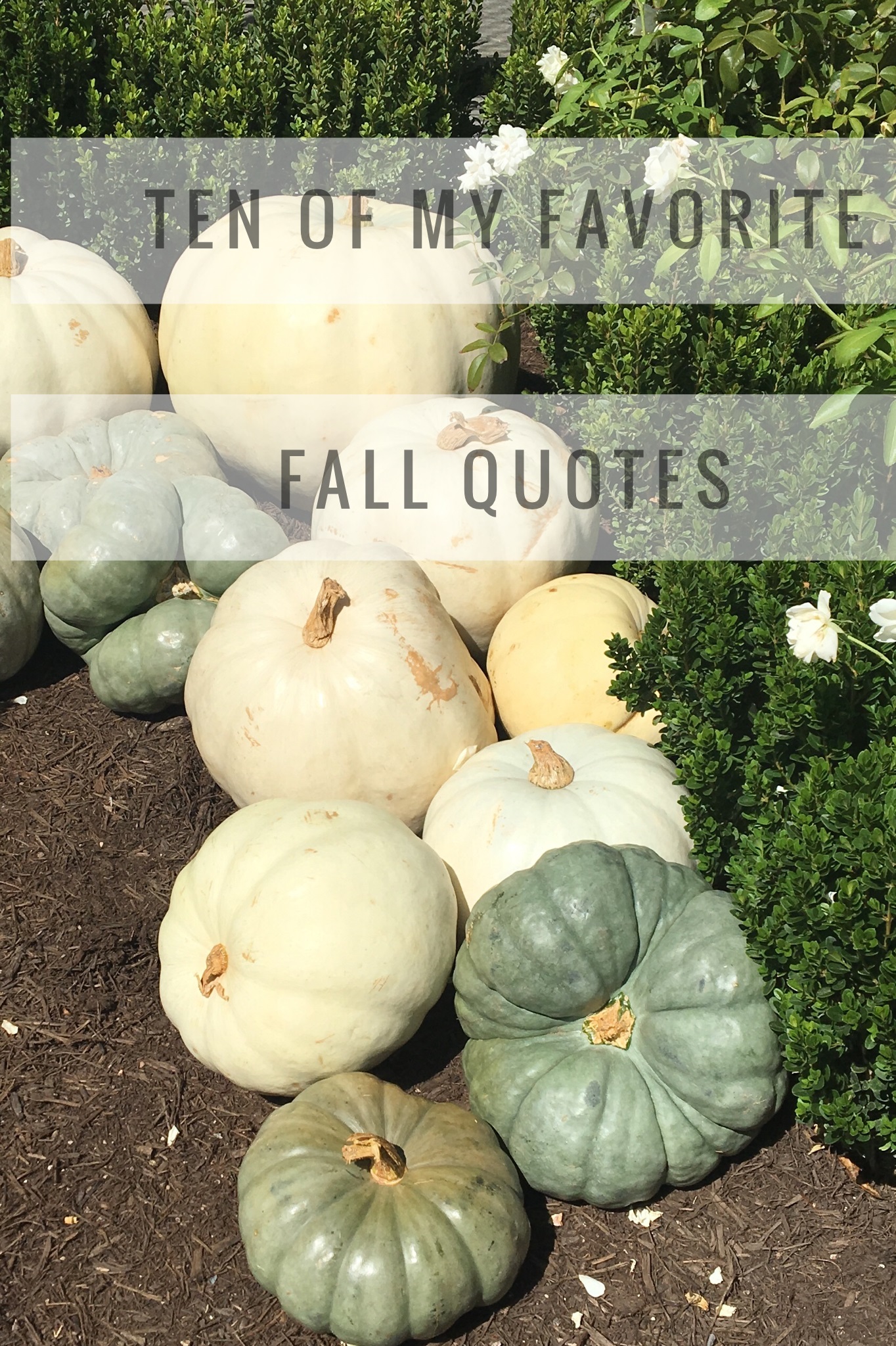Ten Of My Favorite Fall Quotes