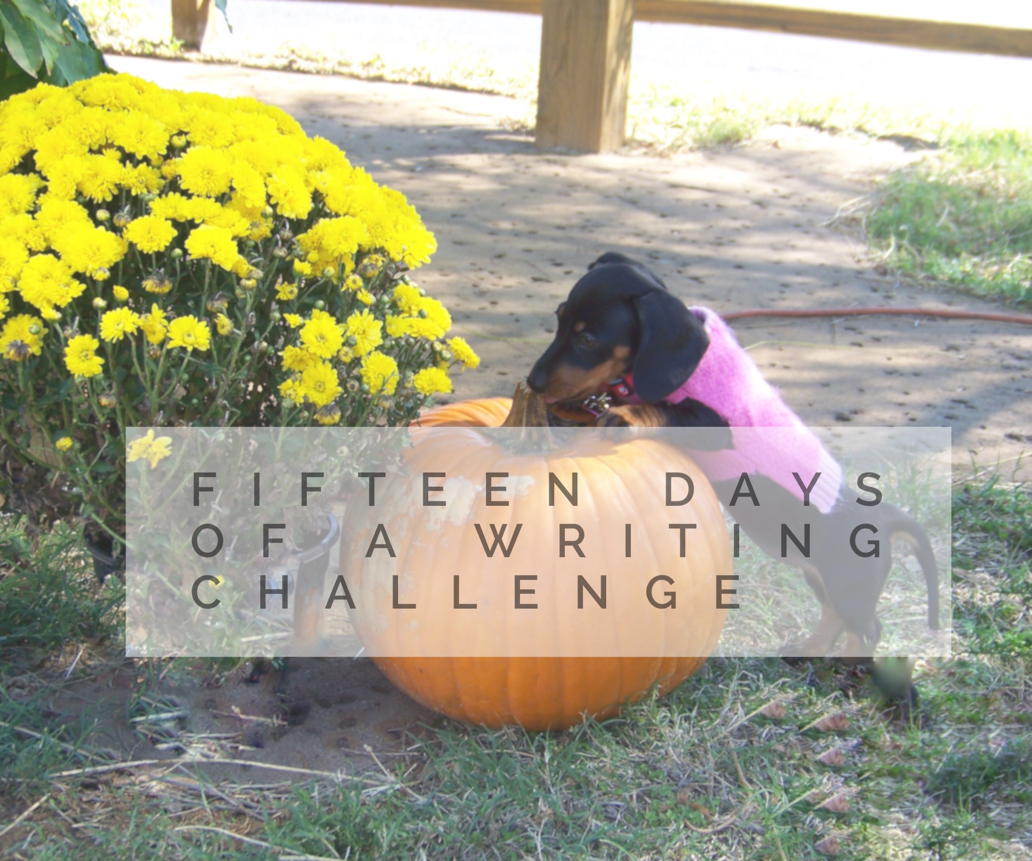 Fifteen Days of A Writing Challenge