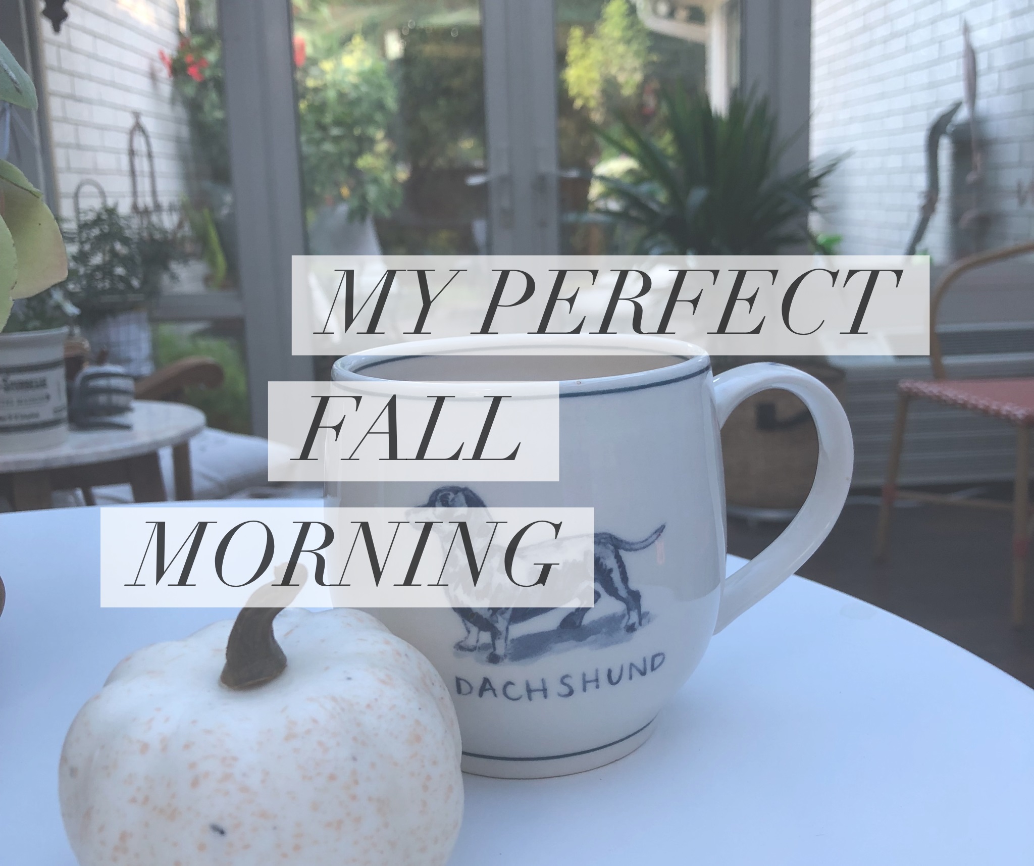 My Perfect Fall Morning