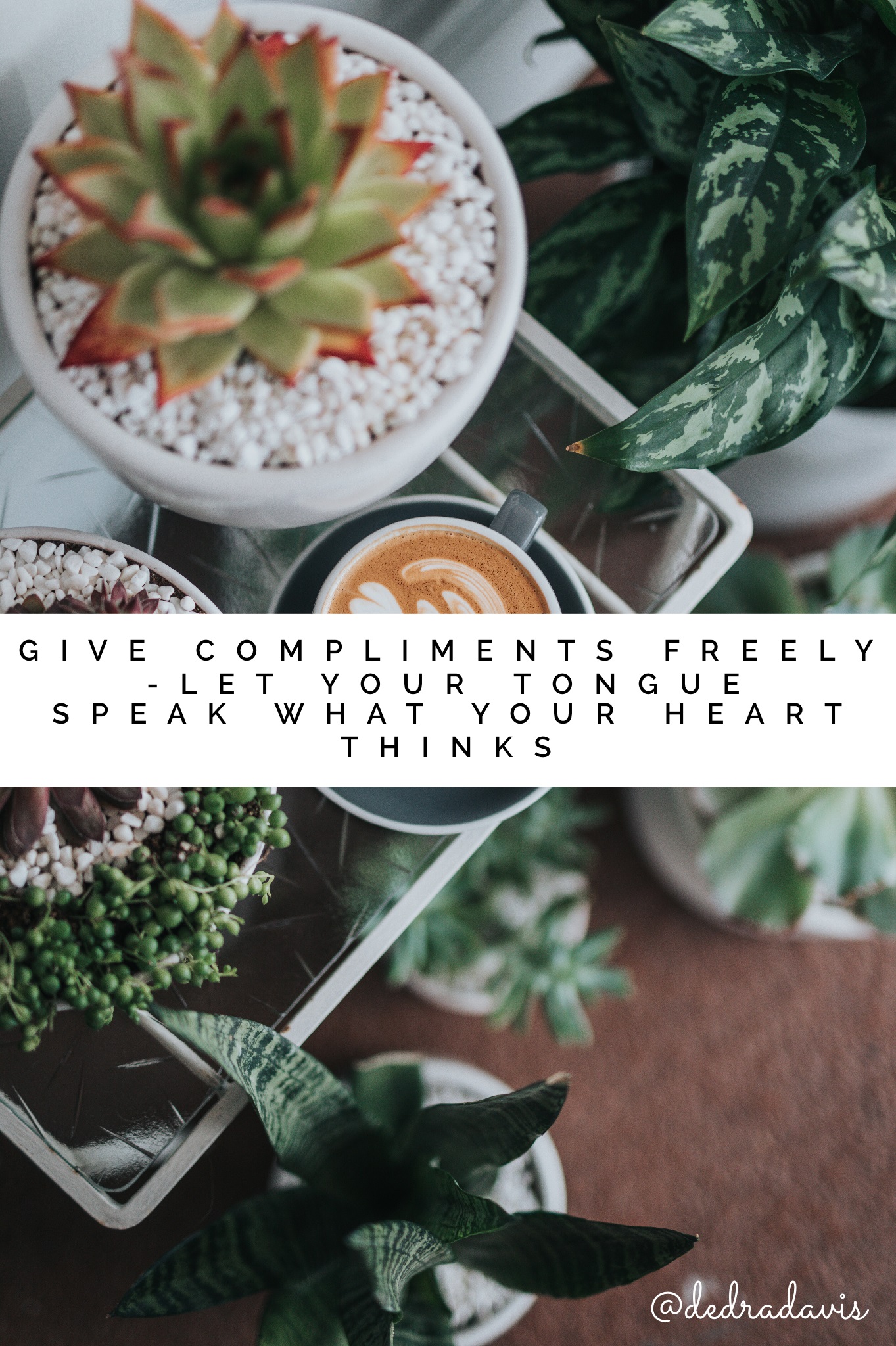 Give Compliments Freely-Let Your Tongue Speak What Your Heart Thinks