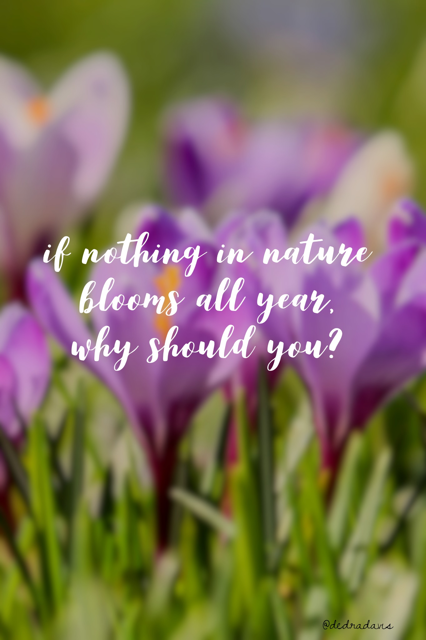 If Nothing In Nature Blooms All Year, Why Should You?