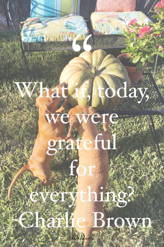 Thanksgiving Quotes To Be Thankful For #thanksgivingquotes #fallquotes #weeniedogs #dachshunds #pumpkins #dedradaviswrites #quotes #quotestoliveby #wordstoliveby #charliebrownquotes #inspiringquotes