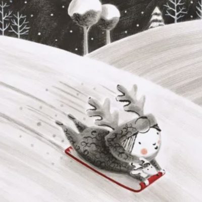 The Little Reindeer Book Review