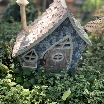 Fairy Gardens and Spring Fling Kidlit Contest