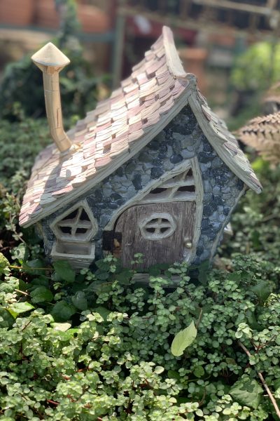 Fairy Gardens and Spring Fling Kidlit Contest