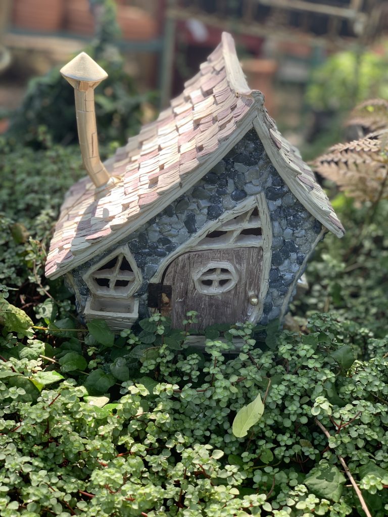 Fairy Gardens and Spring Fling Kidlit Contest